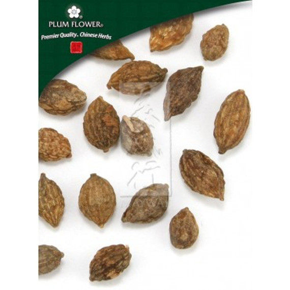 Shan Zhu Yu - TCM Herbs - TCM Wiki