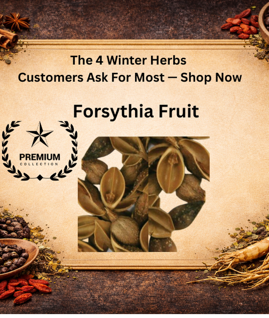 Forsythia Fruit Premium Grade