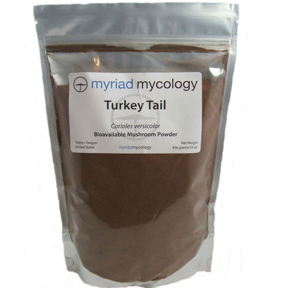 Turkey Tail Mushrooms Trametes versicolor Myriad Mycology Mushroom Powder 1 pound