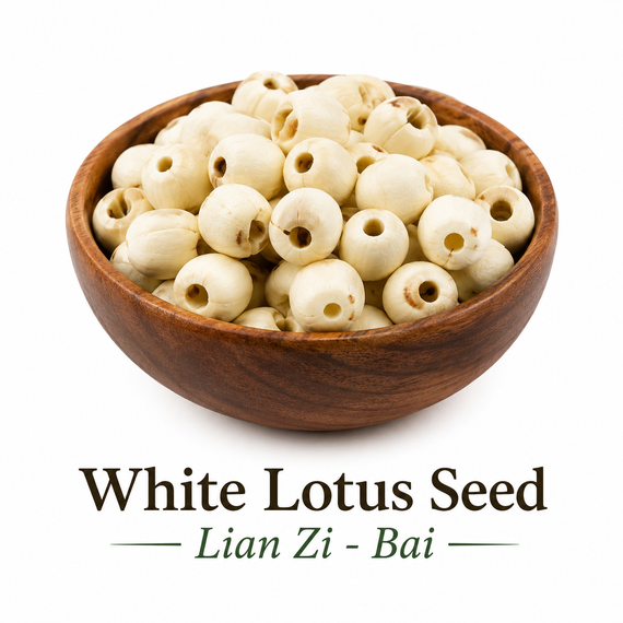 Sacred Lotus Seed- White, Peeled (Lian Zi-Bai) Nuherbs Lab Tested Whole Form 1 lb