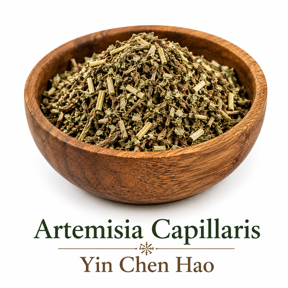Yin Chen Hao – Artemisia Capillaris Cut Chinese Herb