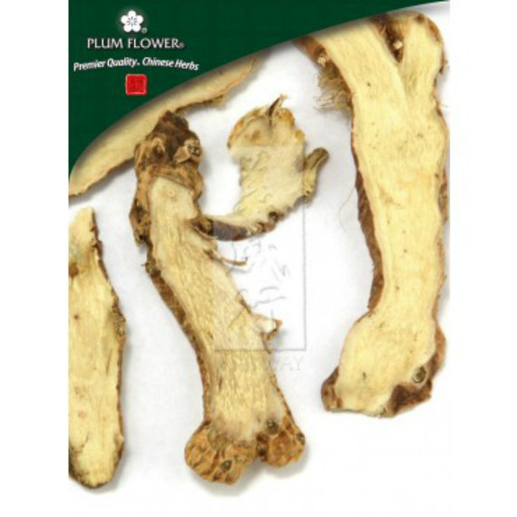 Arisaema Rhizome (Dan Nan Xing) - Cut Form