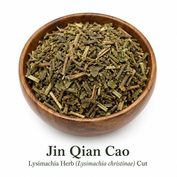 Jin Qian Cao (Lysimachia christinae) cut Lysimachia herb in a wooden bowl