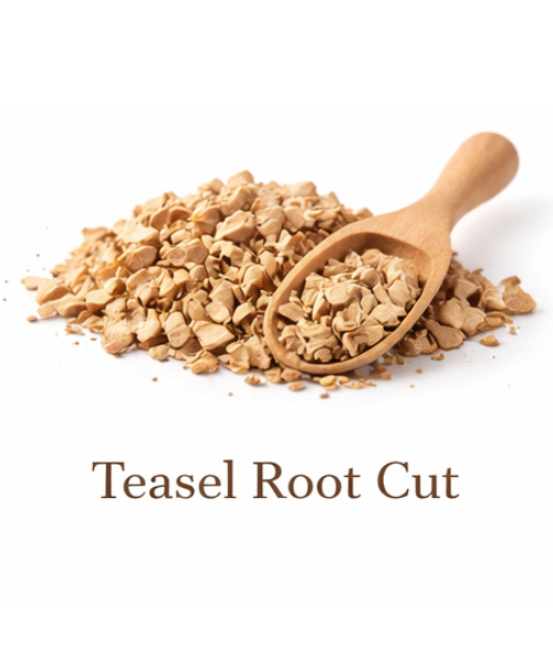 Teasel Root - Xu Duan in cut form