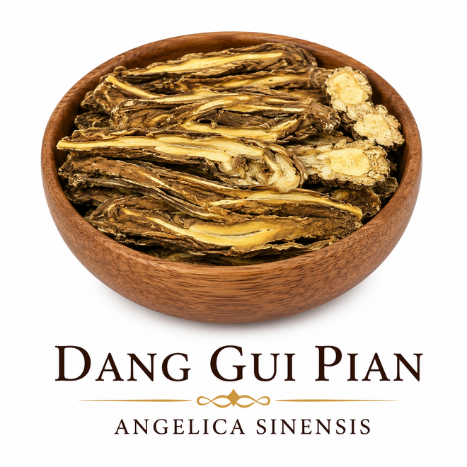 Dang Gui Pian slices are large, dark brown slices that resemble a thinly cut tooth, with a curved shape and smooth surface.