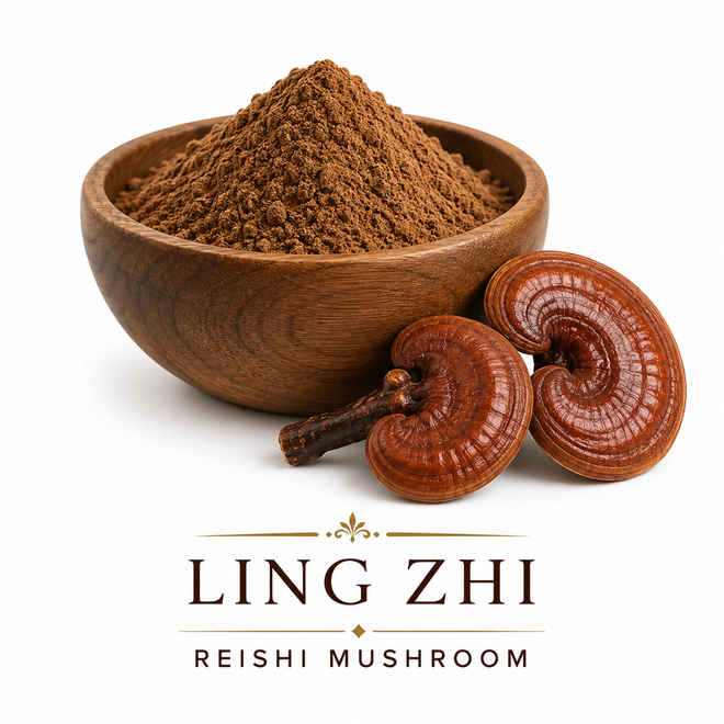 Ling Zhi (Reishi Mushroom) powder in an elegant wooden bowl with whole reishi mushrooms on a white background, premium traditional Chinese herbal ingredient.