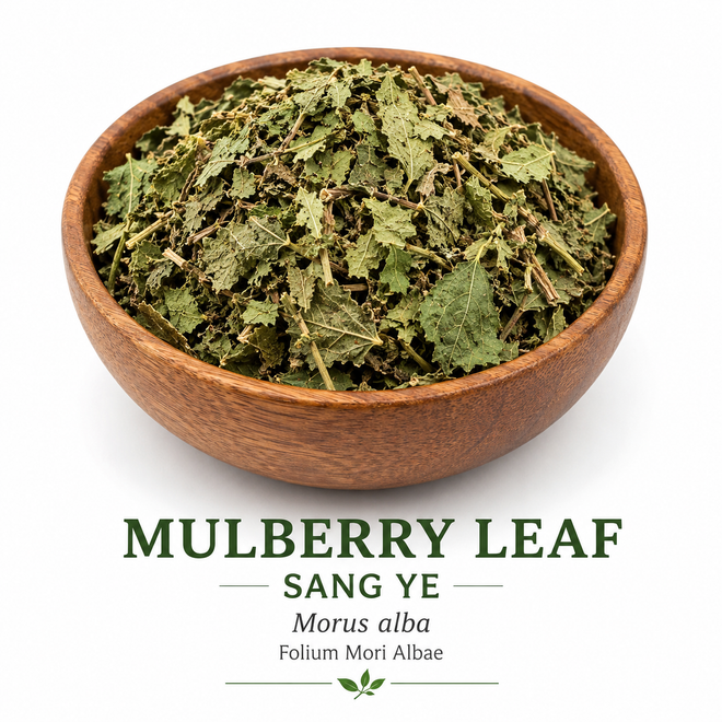 Mulberry Leaf, Also known as Sang Ye, Authenicate herb by Plum Flower