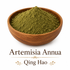 Organic Sweet Annua / Wormwood / Artemisia Annua (Qing Hao) - Powder Form 1 lb - Nuherbs Brand showing the consistency of the powder is fine