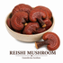 Reishi Mushroom Tea: A cup of Reishi mushroom tea, showcasing the dark, earthy brew known for its immune-boosting and calming properties