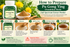 Learn how to prepare Plum Flower Pu Gong Ying (Chinese Dandelion) Full Spectrum Extract Powder with this illustrated five-step guide from 1st Chinese Herbs. The infographic shows the 100 g herbal extract bottle, fine brown powder, and dandelion flowers, followed by instructions to read the label, measure the recommended amount, add the powder to a cup, mix with warm water, and stir thoroughly. Includes helpful preparation tips, medication precautions, and important safety reminders.