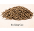 Yu Xing Cao, Houttuynia Cordata herb  Fishy Smell Herb 
Easily made into a tea