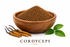 Cordyceps Mushroom Extract Granules .9x Activeherb 100 grams.  Easy to use extract granules, 100-gram bottle of Cordyceps mushroom extract granules for wellness support.