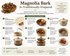 How to make a decoction of magnolia bark