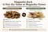 What is the difference between magnolia bark and magnolia flower?