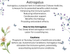 Summary of Astragalus Root Powder and how to use the powder for  health benefits.