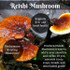 Reishi Mushroom In powder form