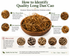 How to recognize quality Long Dan Cao