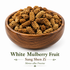White Mulberry Fruit (Sang Shen Zi, Morus alba Fructus) in a wooden bowl on a white background, premium whole dried mulberries for traditional Chinese herbal teas, decoctions, and culinary use.