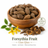 Forsythia Fruit (Lian Qiao) Nuherbs Lab Tested whole and cut pieces displayed in an elegant wooden bowl on a white background with premium Chinese herbal medicine identification.