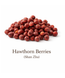 Shan Zha, Hawthorn berries in whole and sliced form