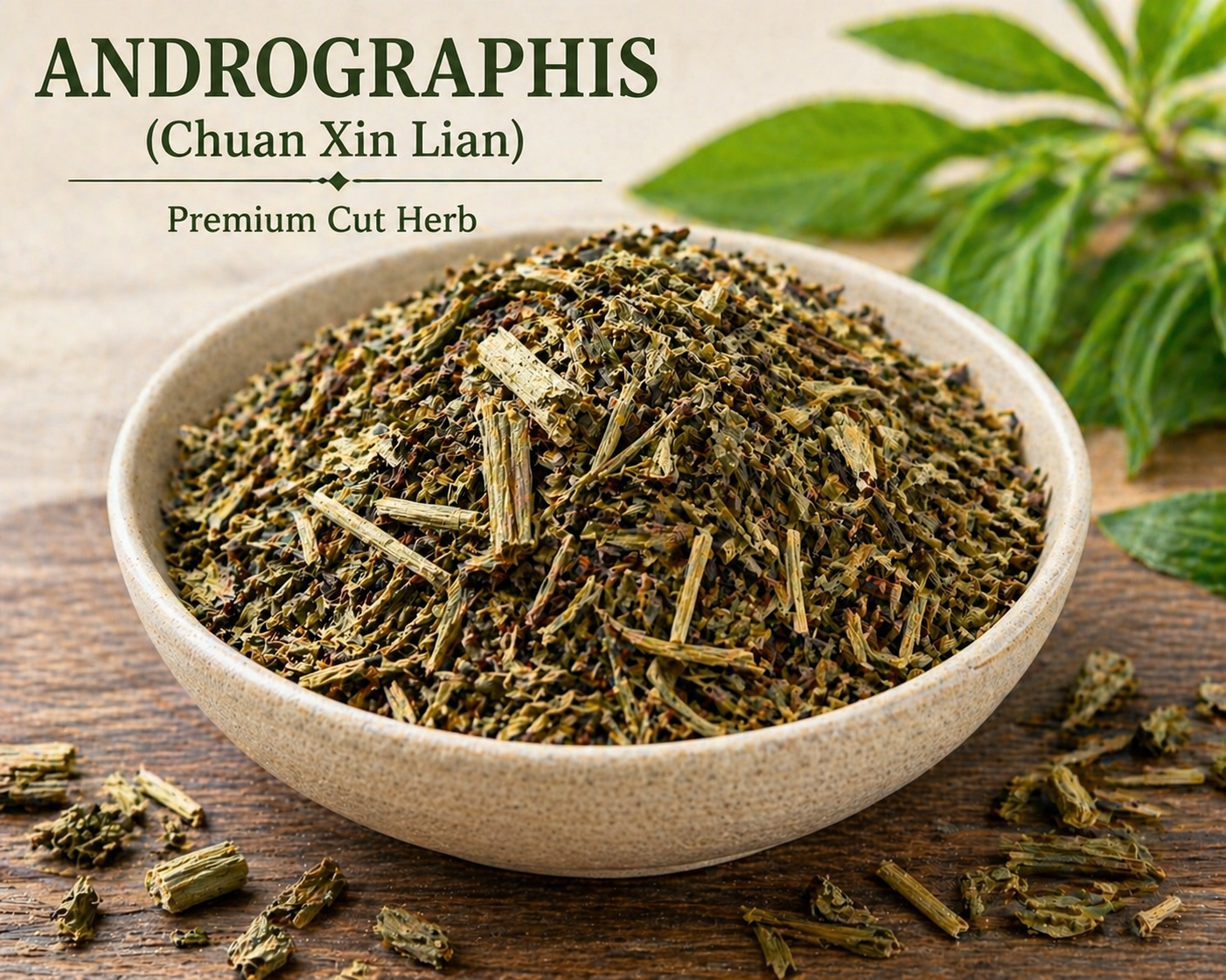 Andrographis herb, how to use, what is andrographis used for, what does it look like 