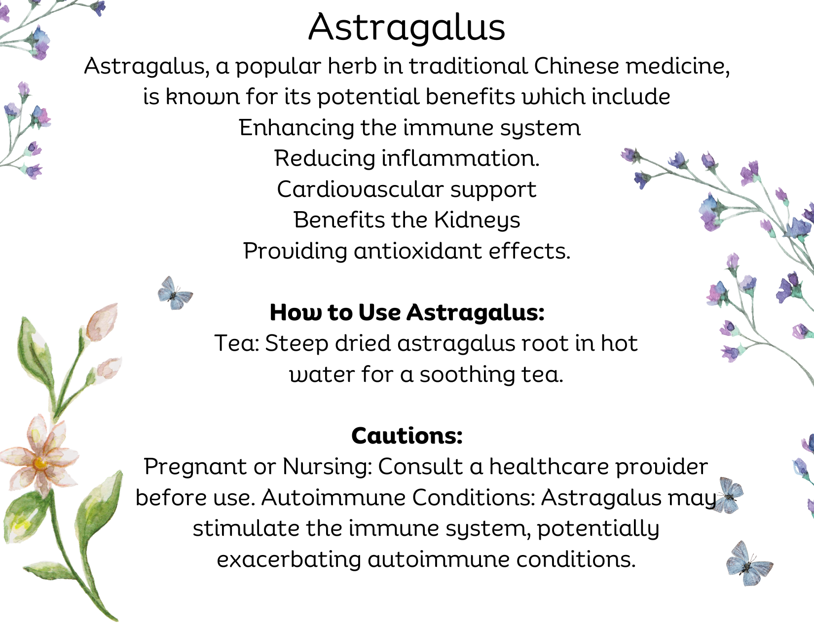 Information on Astragalus root, how to use, when to use, and the health benefits of astragalus