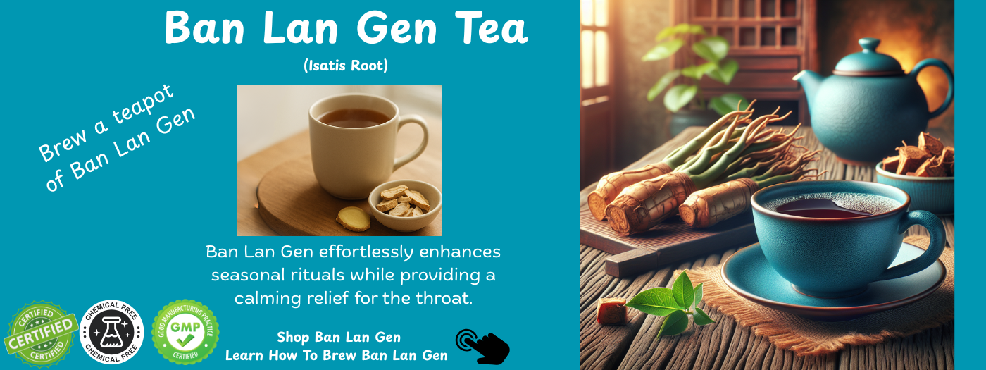 Ban lan gen, isatis root, tcm herb to support the throat during the winter season.