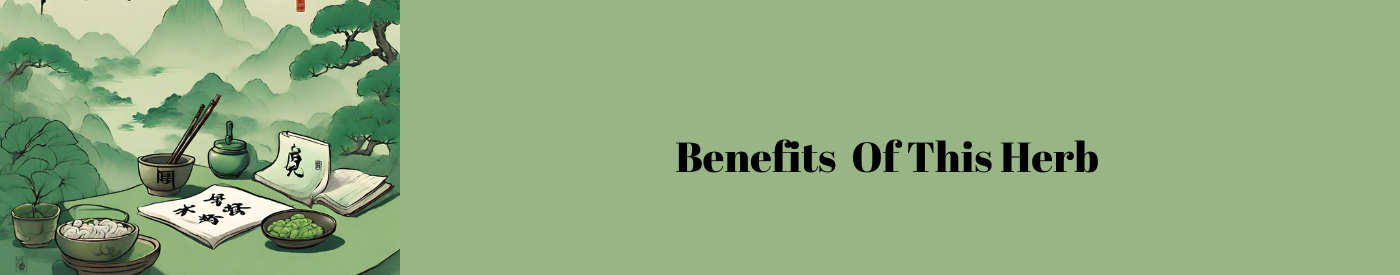 health benefits of di gu pi