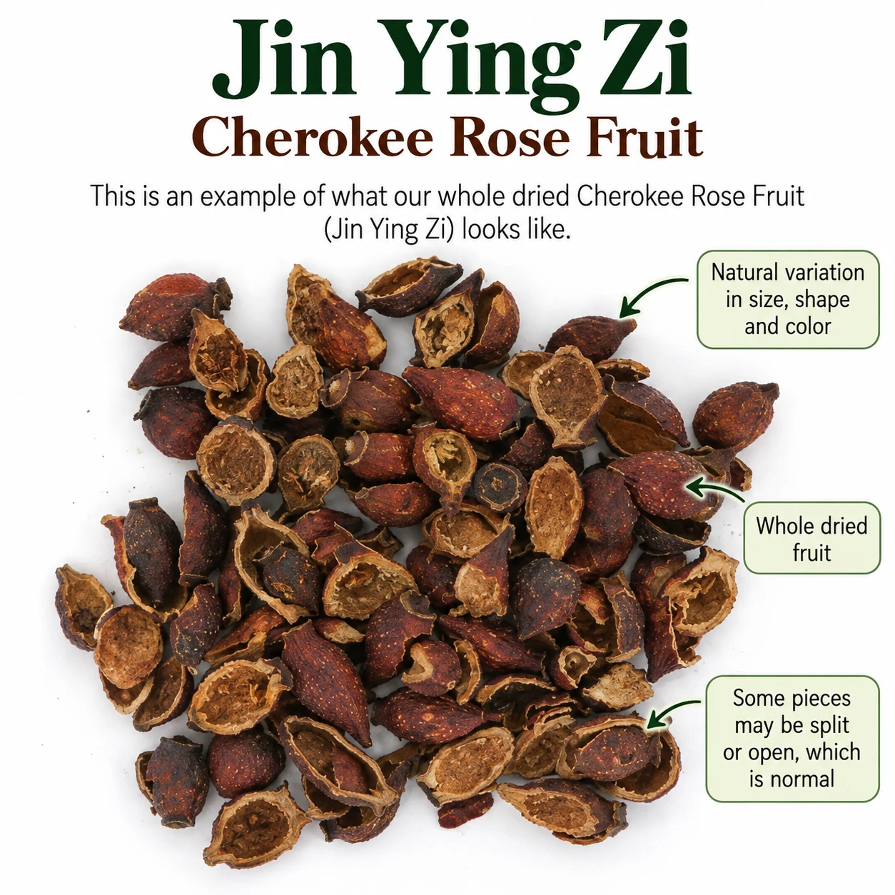 Example of whole dried Jin Ying Zi, also known as Cherokee Rose Fruit (Rosa laevigata). The image shows the herb's natural reddish-brown color, varied shapes and textures, including whole fruits and pieces that have naturally split or opened.