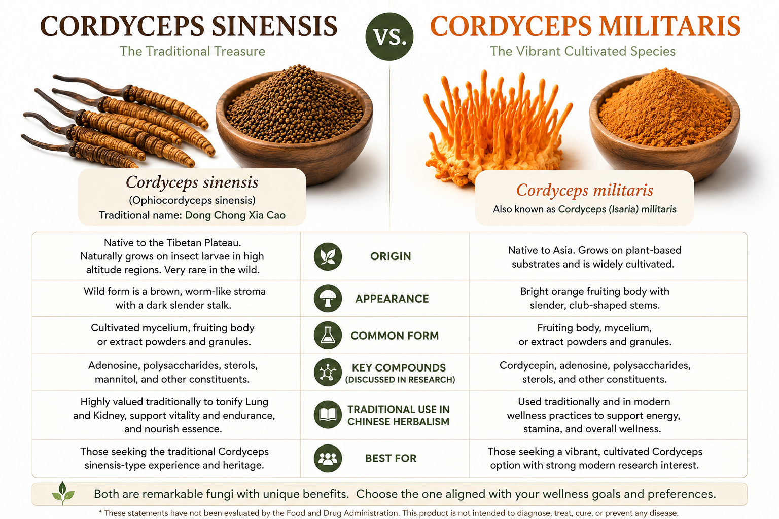 What are the differences between cordyceps sinensis and cordyceps militaris