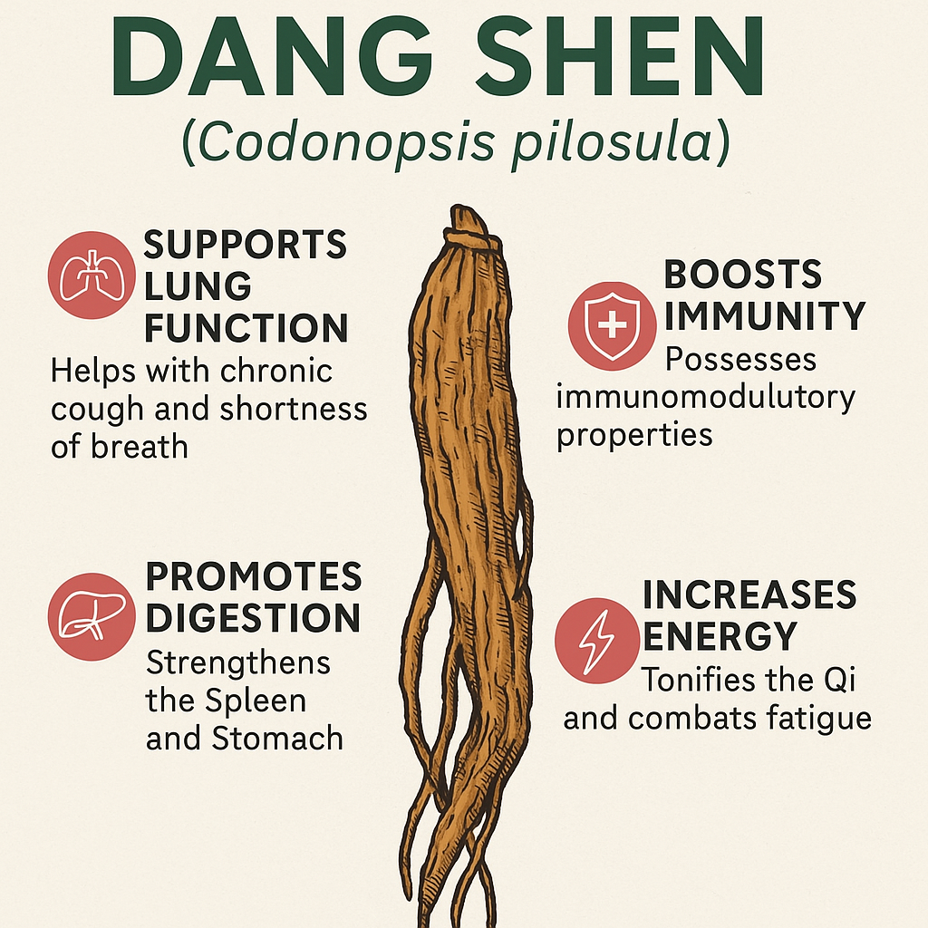 What is Dang Shen 