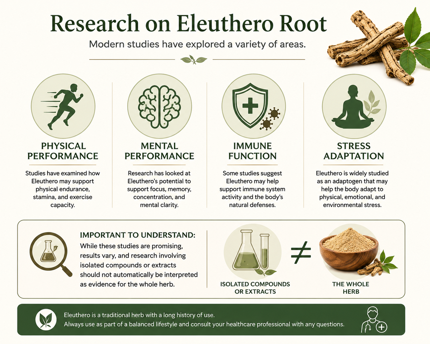 Infographic illustrating current research on Eleuthero Root (Ci Wu Jia), highlighting studies on physical performance, mental performance, immune function, and stress adaptation while explaining that research on isolated compounds or extracts should not be interpreted as evidence for the whole herb.