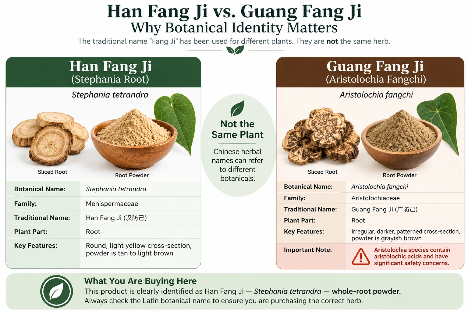 Comparison of Han Fang Ji (Stephania tetrandra) and Guang Fang Ji (Aristolochia fangchi), showing their different botanical identities, root forms, and powders. The graphic explains why checking the botanical name is important when buying Fang Ji and identifies this product as Stephania tetrandra whole-root powder.
