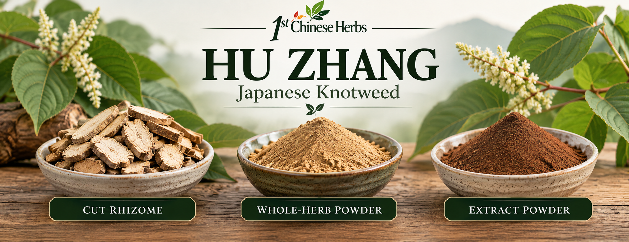 Hu Zhang Japanese knotweed in three forms: cut rhizome, whole-herb powder, and concentrated extract powder, displayed in bowls at 1st Chinese Herbs.
