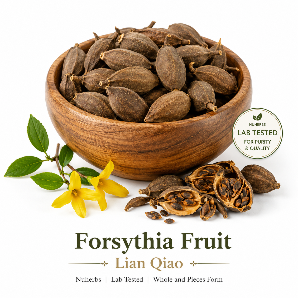 Forsythia fruit whole in a wooden bowl showing what the herb looks like
