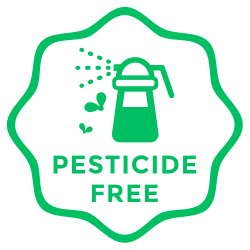 free from pesticides