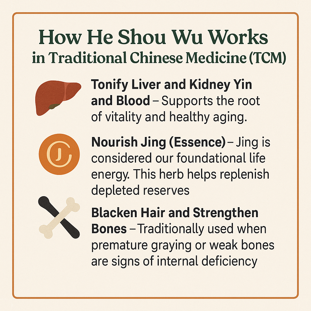 He shou wu, how it works in traditional Chinese medicine