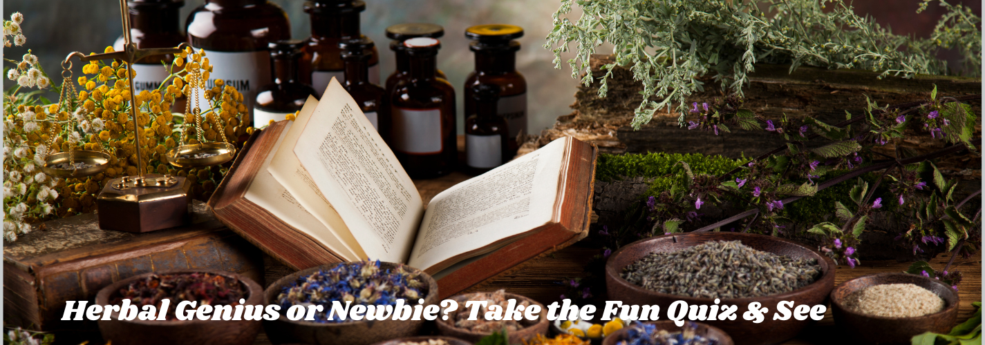 https://1stchineseherbs.com/how-well-do-you-know-your-chinese-herbs-take-the-quiz-find-out/