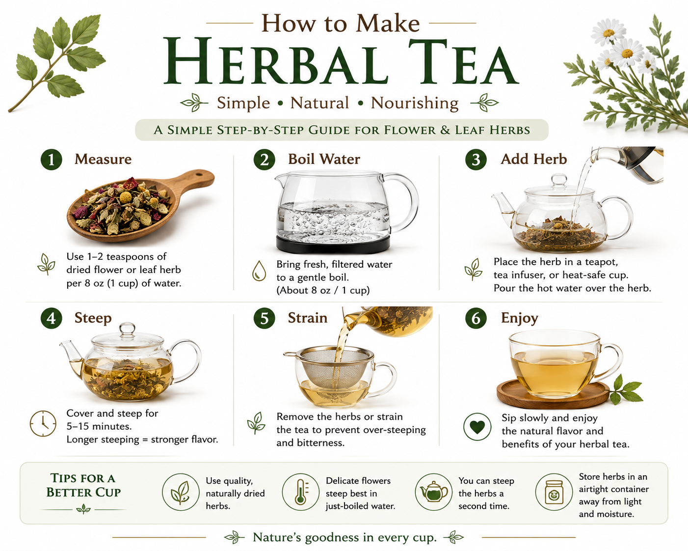 This educational infographic demonstrates the basic process of making herbal tea from dried flower or leaf herbs. The guide walks through each step, including measuring the dried herb, boiling fresh water, adding the herb to a teapot or infuser, steeping for the appropriate amount of time, straining the tea, and serving. Decorative botanical illustrations, teaware, and herbal imagery are displayed on a clean white background with green accents, creating an easy-to-follow visual guide suitable for Traditional Chinese herbs and other botanical teas.
