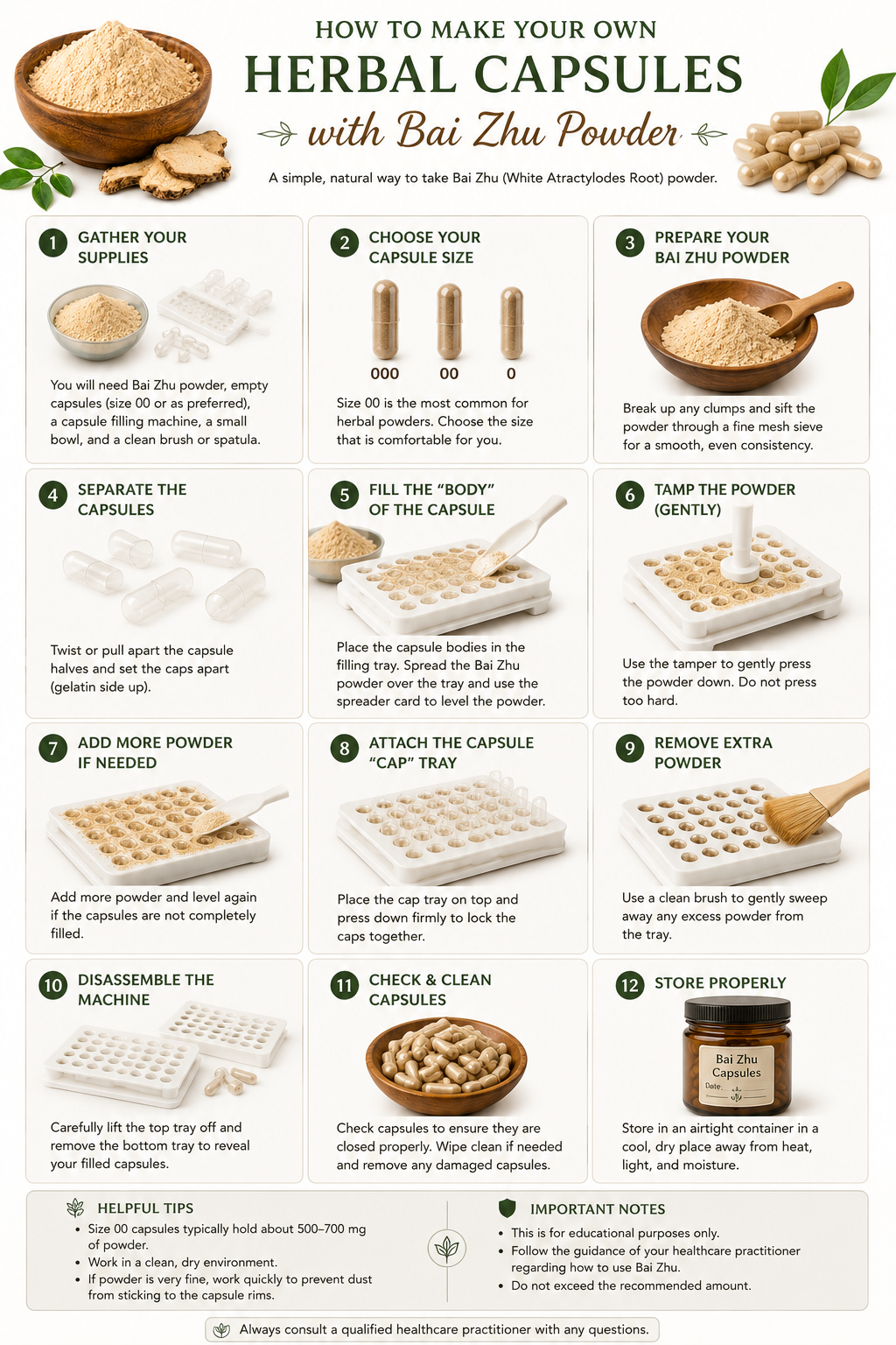 Step-by-step guide showing how to make herbal capsules with Bai Zhu powder (White Atractylodes Root), from filling empty capsules to proper storage.