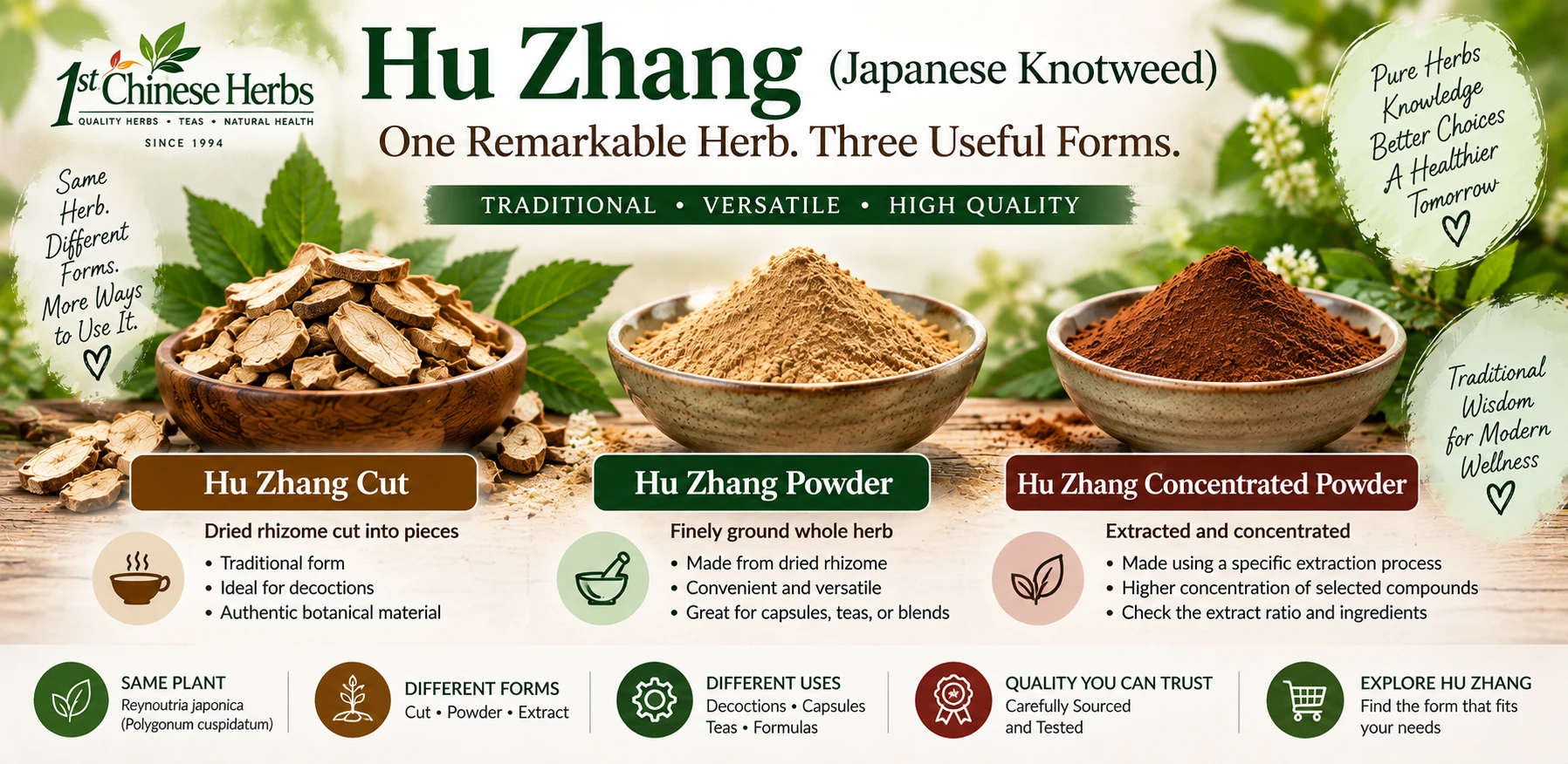 Hu Zhang, Japanese Bushy Knotweed in three forms