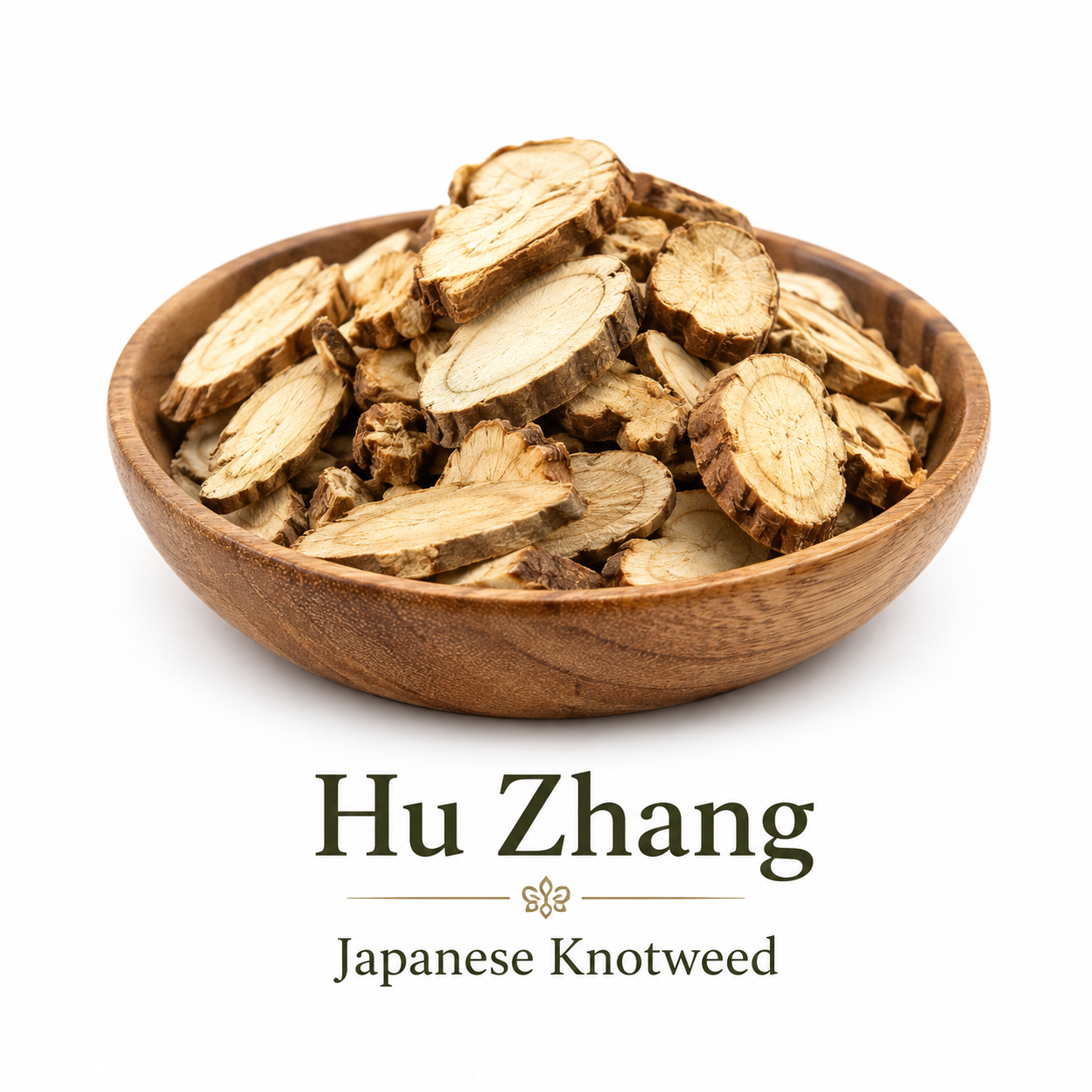 Infographic of Japanese Knotweed in a bowl, showing what the herb looks like 