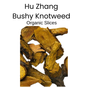 Hu Zhang Bushy Knotweed for making a decoction