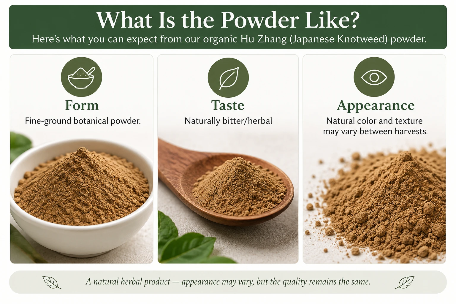 Hu Zhang Japanese Knotweed powder showing its fine-ground texture, naturally bitter herbal character, and natural variations in color and texture between harvests.