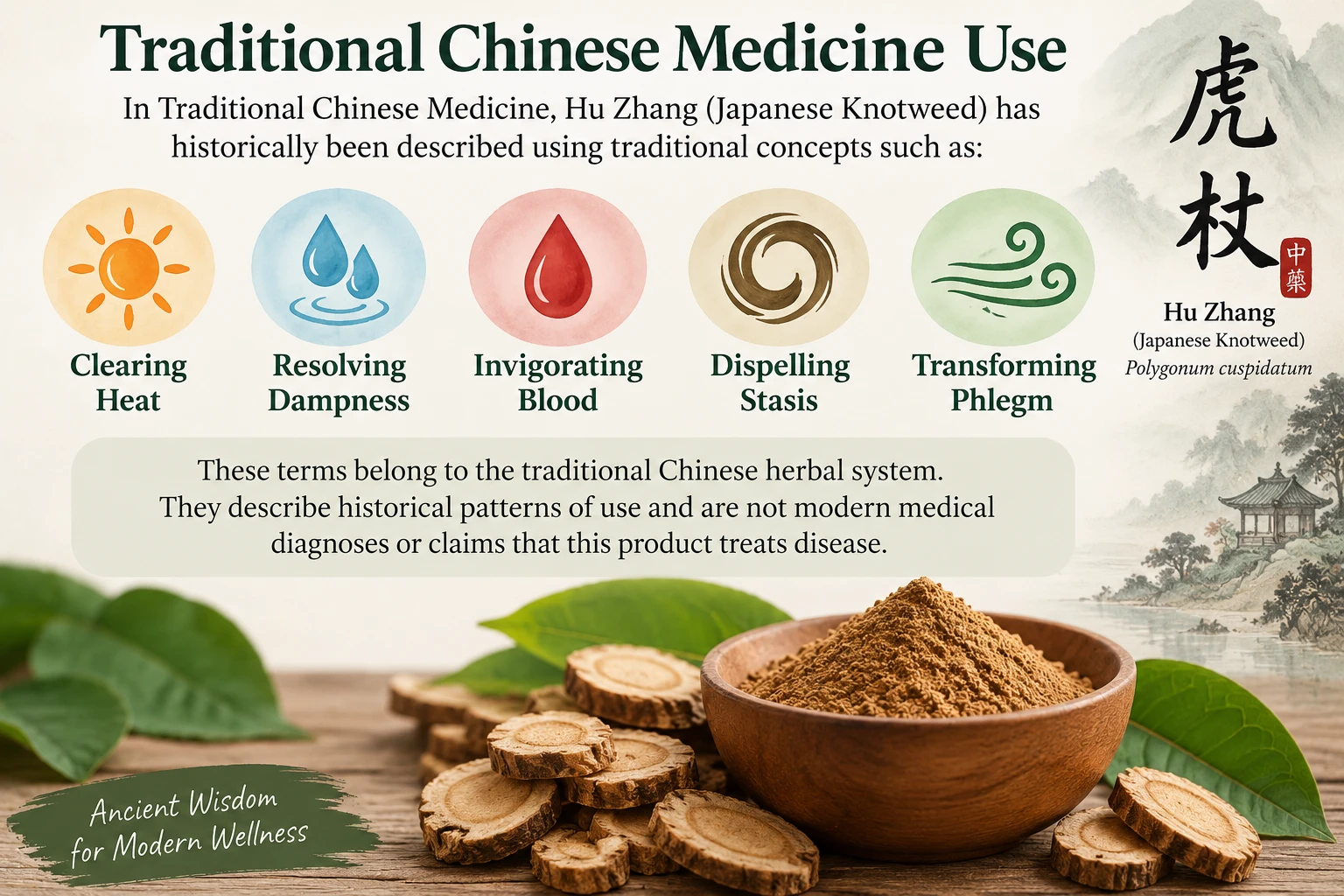 Hu Zhang (Japanese Knotweed) infographic illustrating its traditional Chinese herbal uses, including clearing Heat, resolving Dampness, invigorating Blood, dispelling stasis, and transforming phlegm.