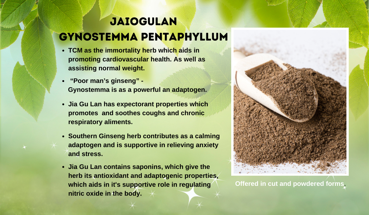 jiao gu lan   Gynostemma pentaphllum, also known as poor man's ginseng