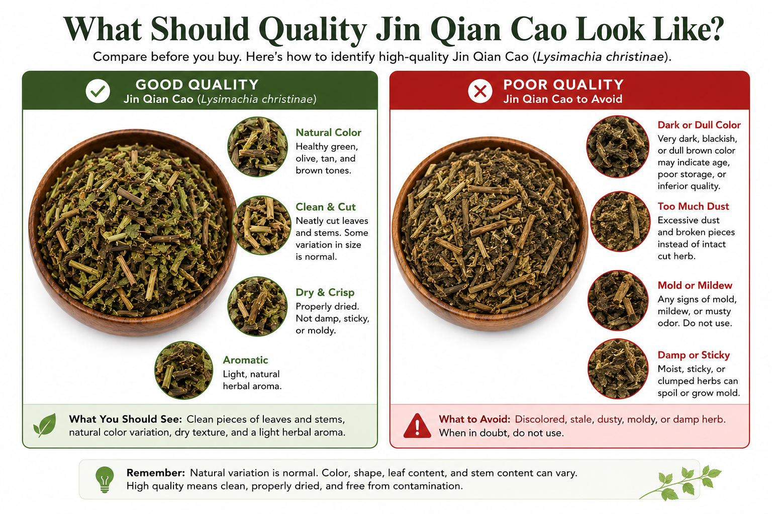 Side-by-side comparison showing what quality Jin Qian Cao (Lysimachia christinae) should look like versus poor-quality cut herb. Good-quality Jin Qian Cao has natural green, olive, tan, and brown tones, clean leaf and stem pieces, a dry texture, and natural variation. Poor-quality herb may appear unusually dark or dull, excessively dusty, damp or sticky, or show signs of mold or mildew.