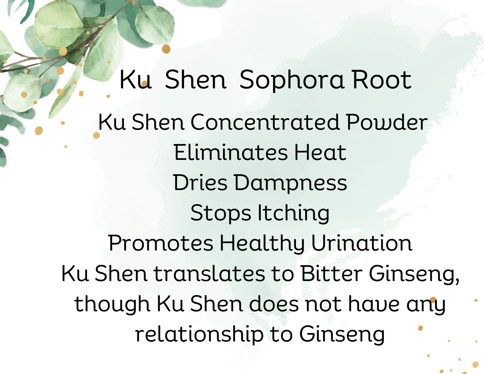 ku shen also known as sophora root, how to use, health benefits, drink as tea, review now, 