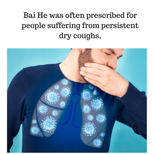 Lily Bulb supports respiratory issues 