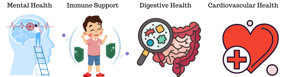 health benefits of lion mane mushroom